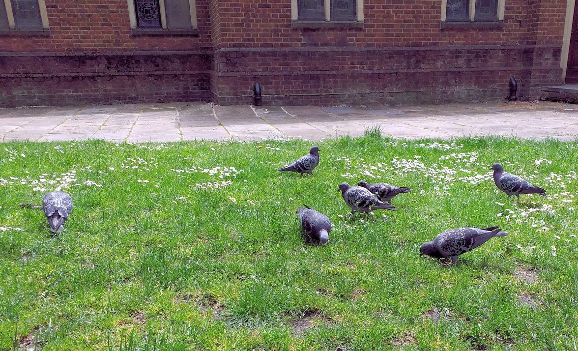 20210526_134211 - Copy.jpg
