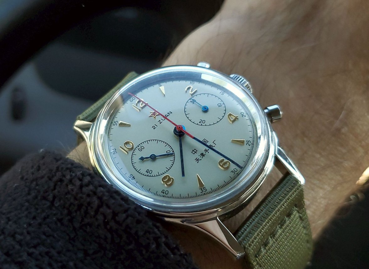 Seagull ws 1b 20210602_072936.jpg