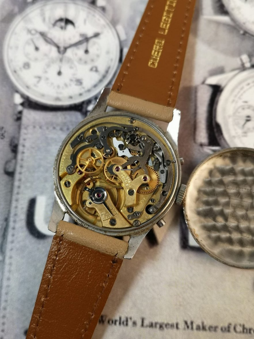 19811456-c44wn4pyugyn4ovhd86hihm3-Zoom (1).jpg