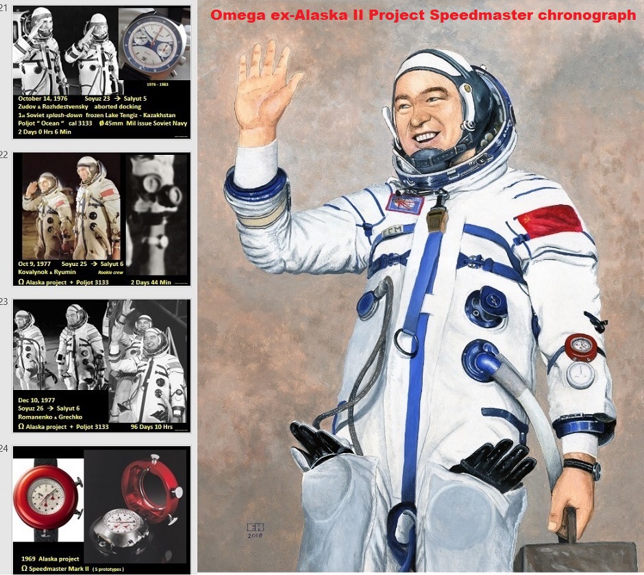 AlaskaProject_Moonwatch.jpg
