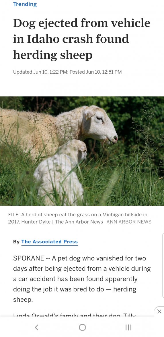 Screenshot_20210612-083001_Samsung Internet.jpg