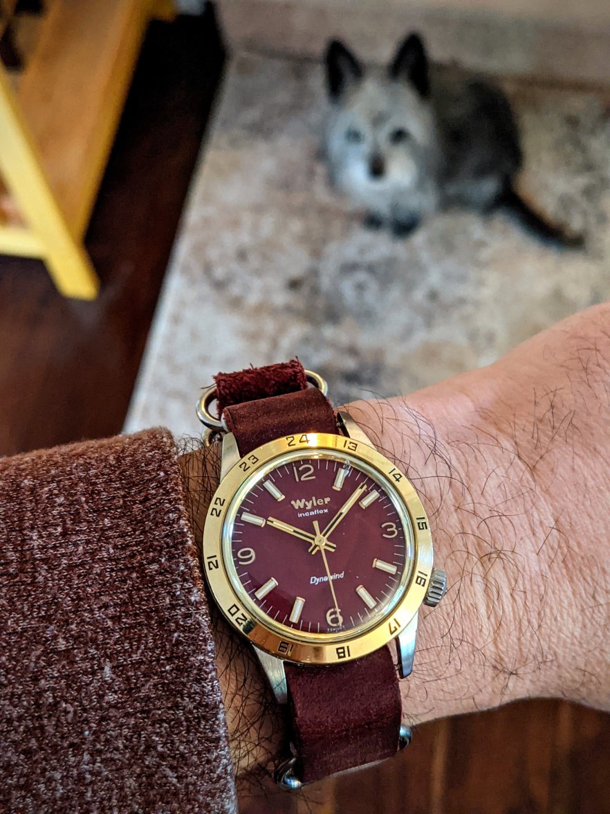 PXL_20210511_173800885.MP.jpg PXL_20210511_173800885.MP.jpg