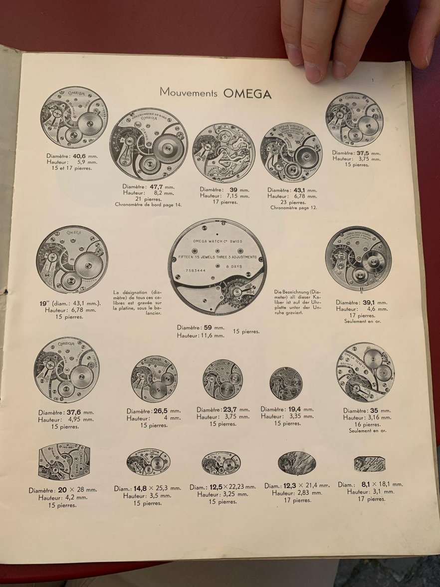 WhatsApp Image 2021-06-15 at 14.38.34.jpeg