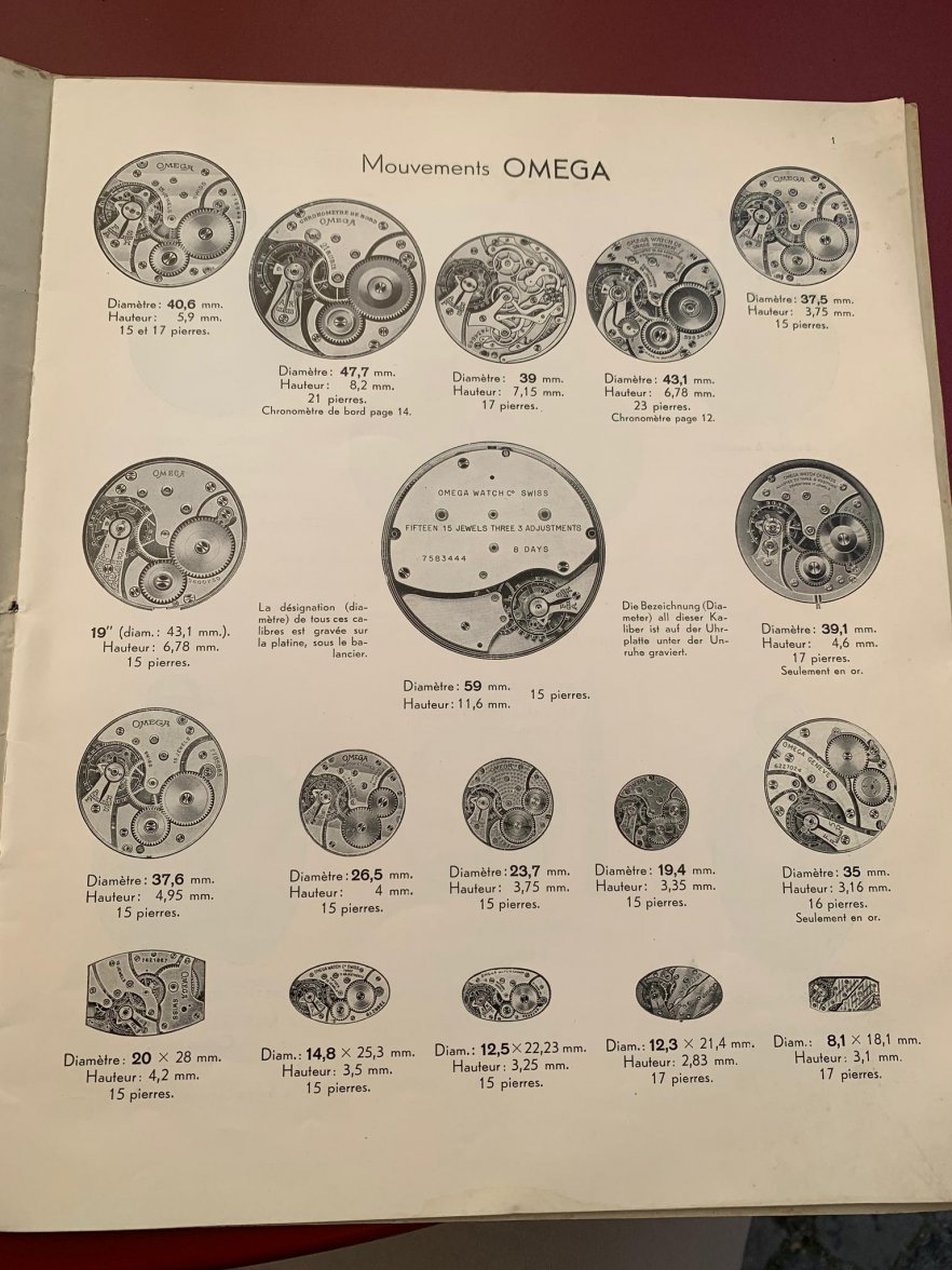 WhatsApp Image 2021-06-15 at 14.38.35.jpeg