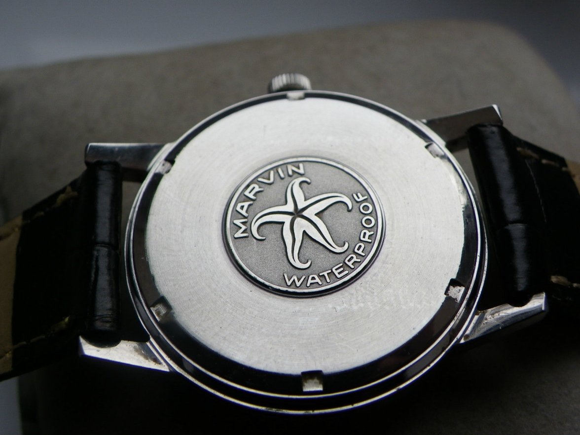 Case-back (seller's).JPG