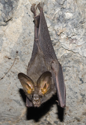 Screen Shot 2021-06-18 at 10.21.58 pm.png