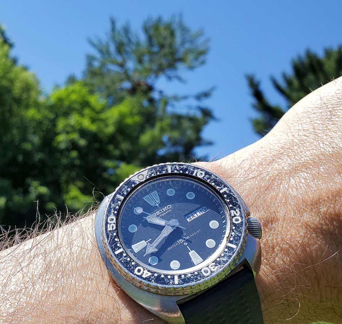 6309 ws 2 20210619_104157.jpg