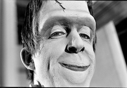 Screen Shot 2021-06-22 at 4.07.16 pm.png