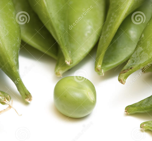 Screen Shot 2021-06-23 at 8.27.52 am.png