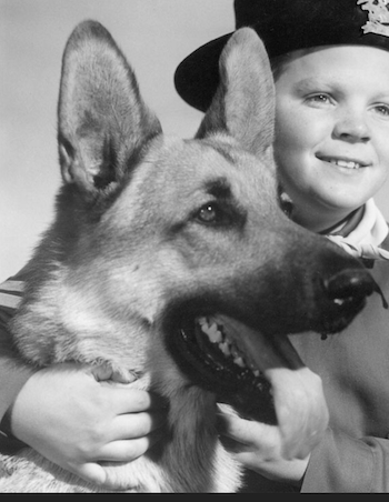 Screen Shot 2021-06-23 at 8.09.30 pm.png