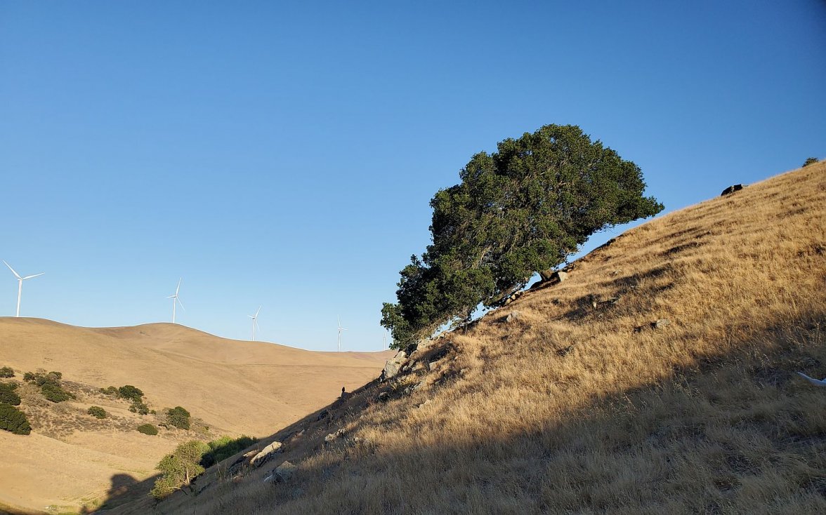 6309 walk 1 20210627_192133.jpg