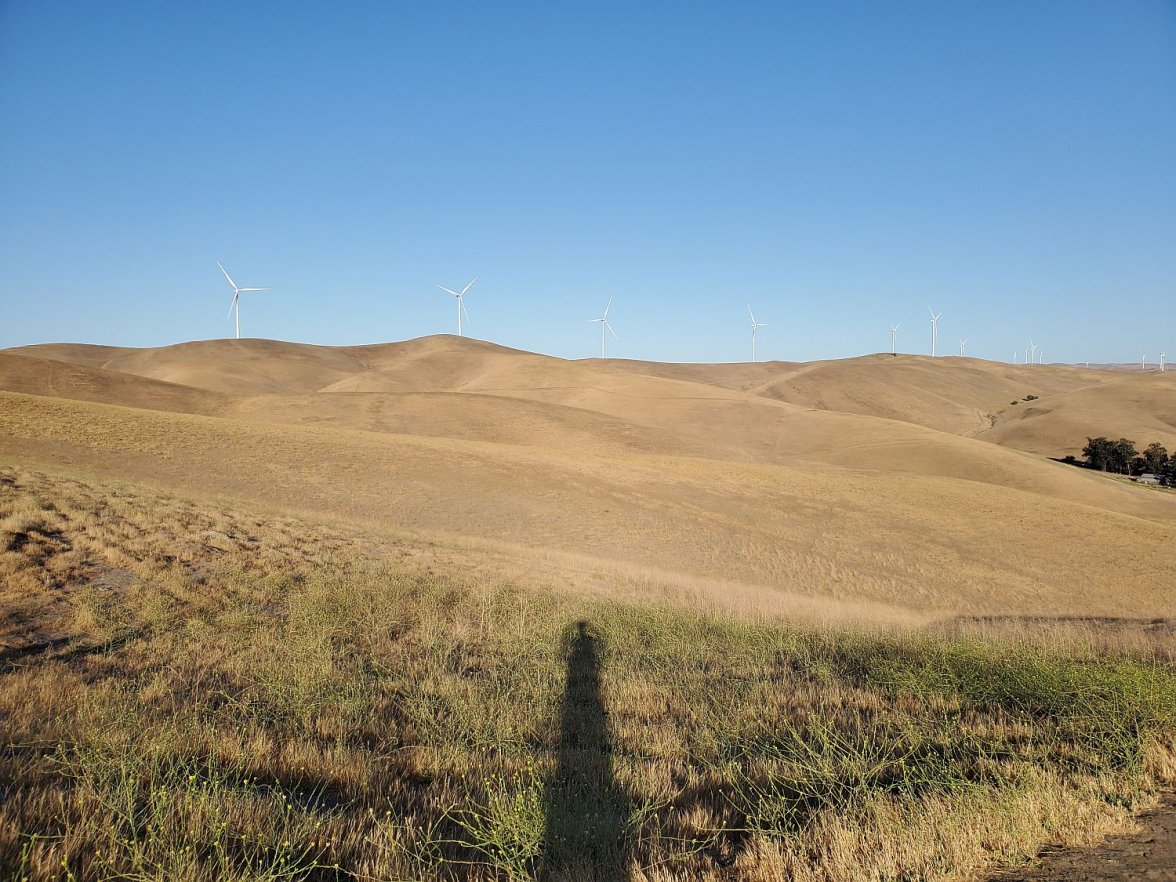 6309 walk 2 20210627_190900.jpg