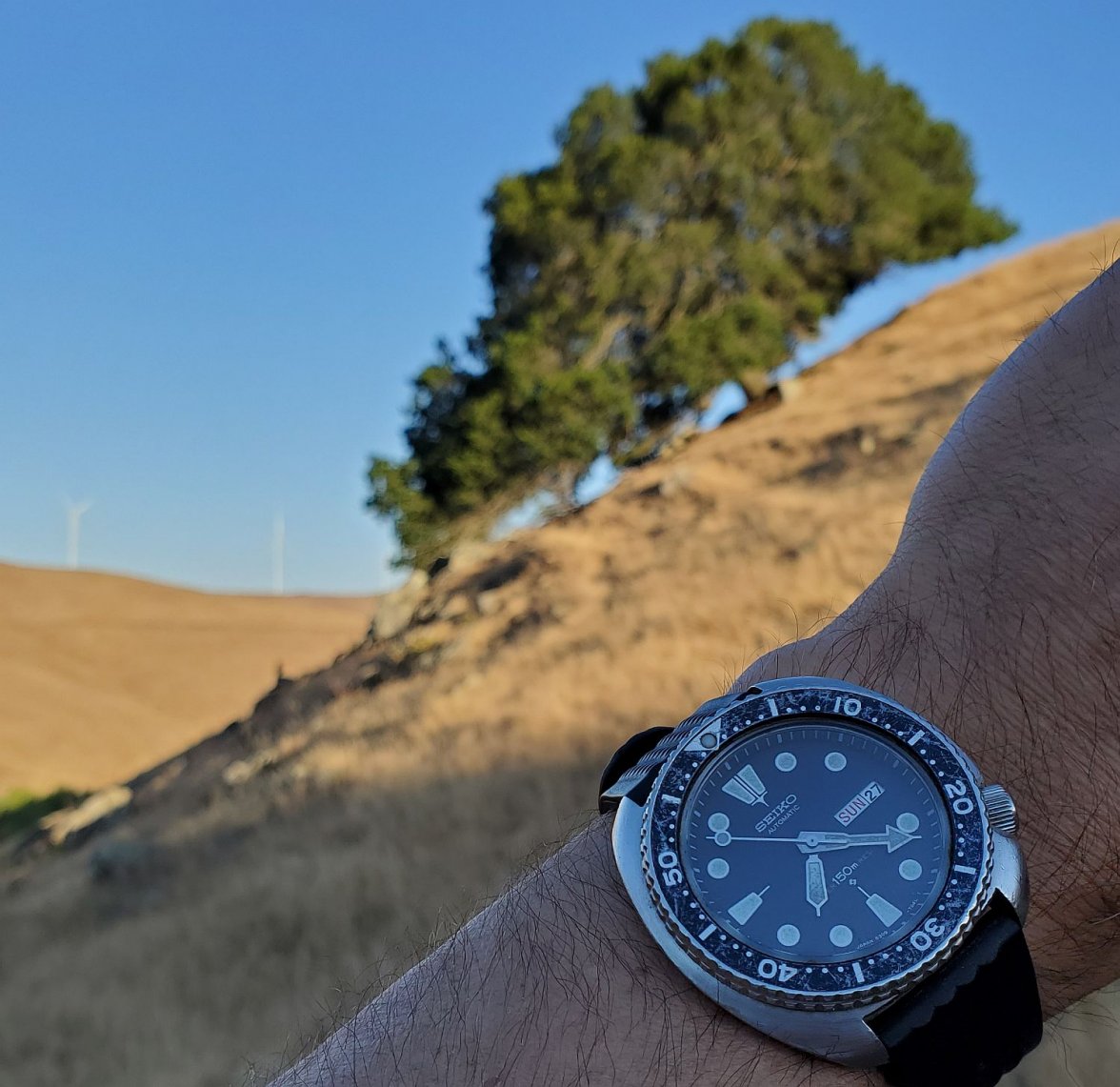 6309 ws 1 20210627_192152.jpg