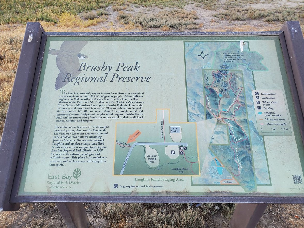 6309 walk 3 20210627_194652.jpg