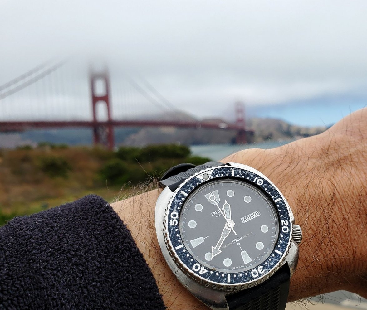 6309 ws 1 20210628_123859.jpg