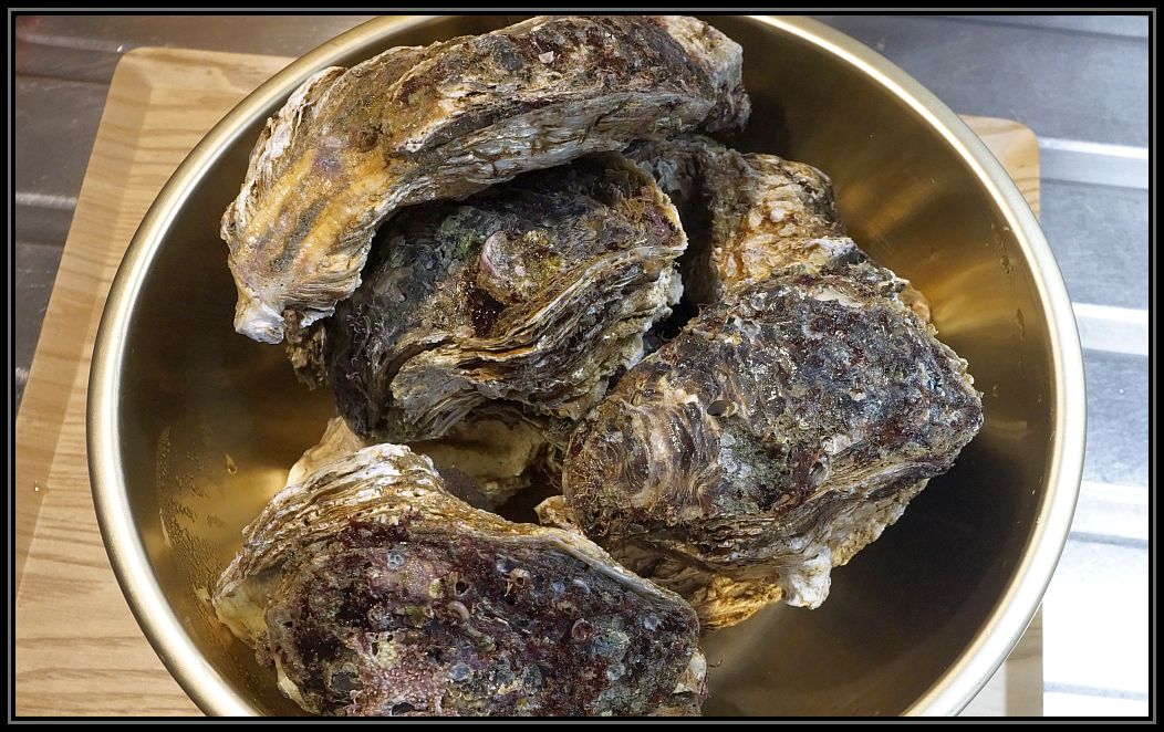 oyster.jpg