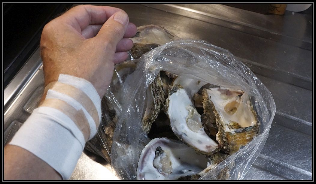 oyster2.jpg