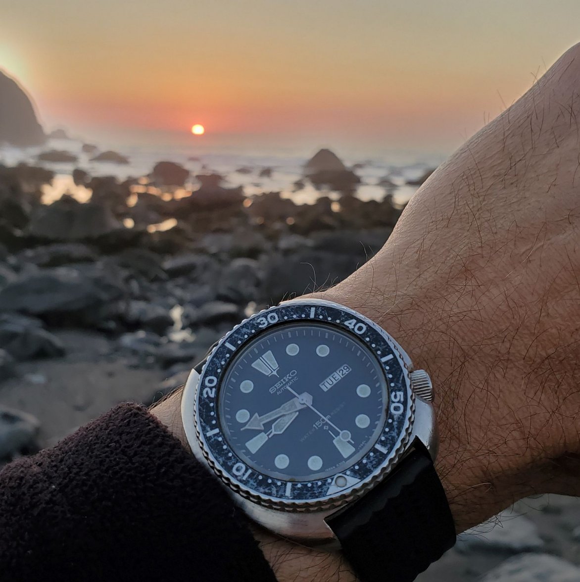 6309 ws 2 20210629_204722(0).jpg