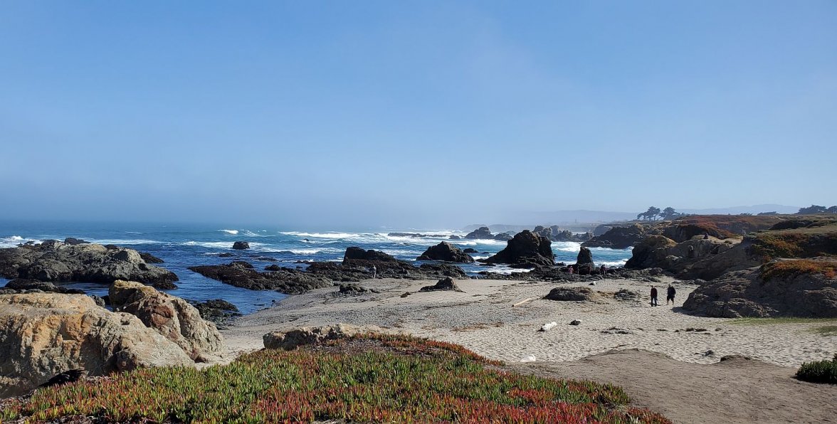 PADI ws 2 20210702_092434.jpg