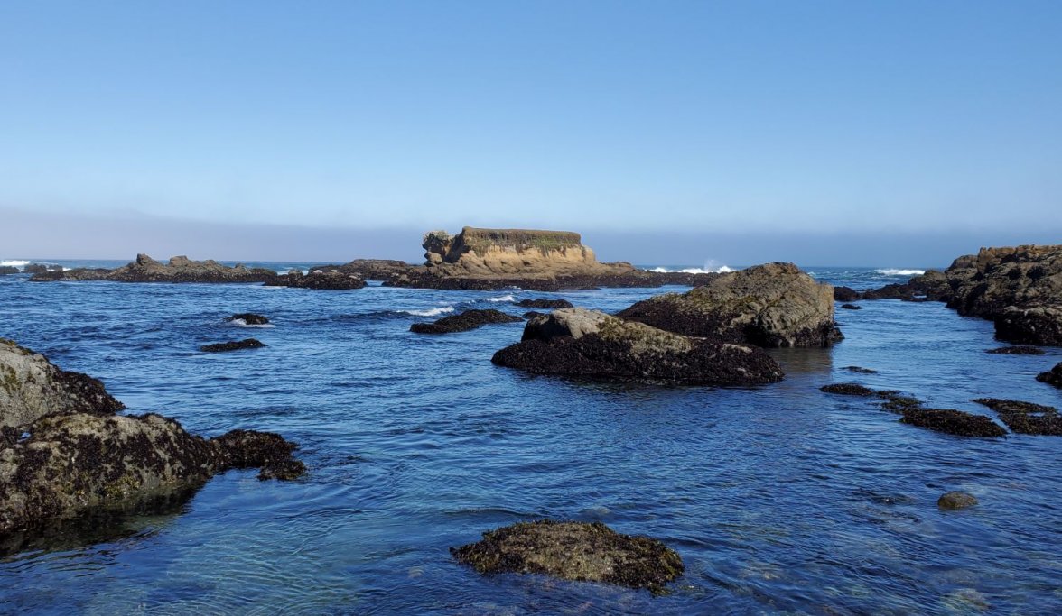 PADI ws 3 20210702_092819.jpg