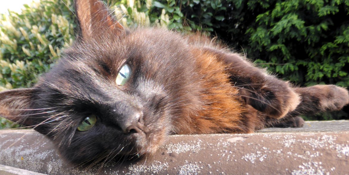 Why Winter  - Copy.jpg