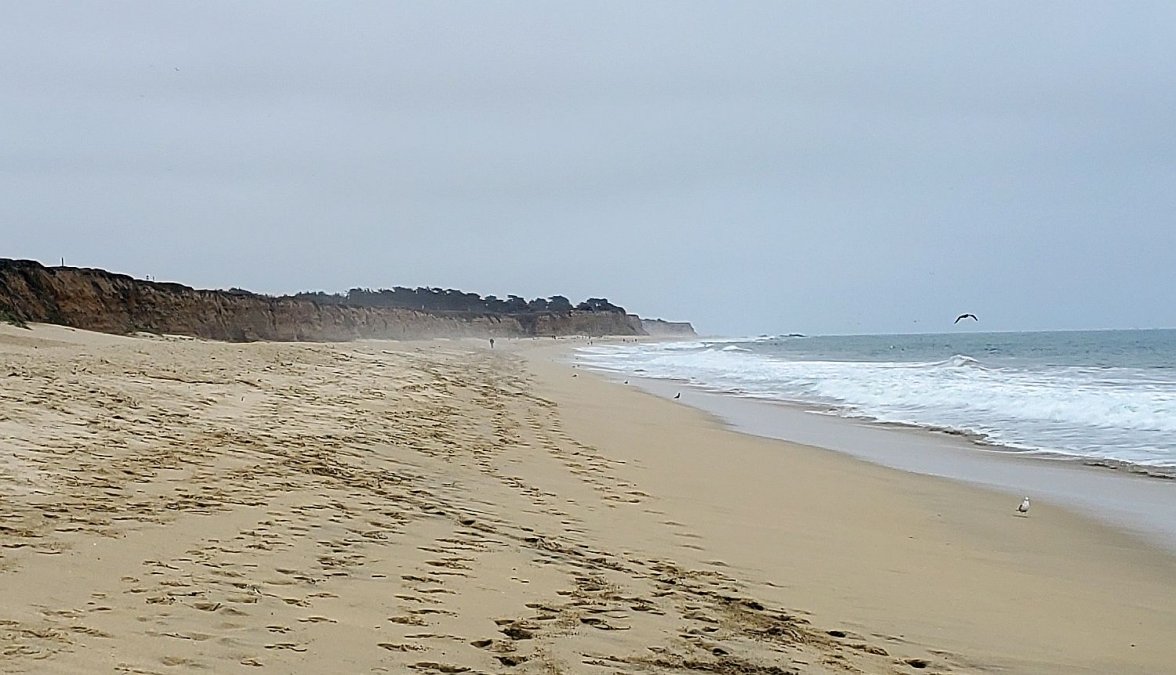 PADI 3 20210707_143314.jpg