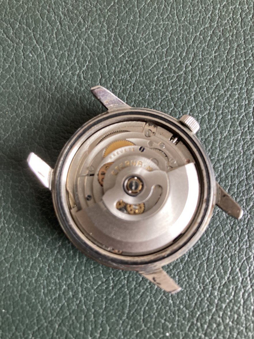 BAB52D62-429D-45E9-9117-76DB3760589F.jpeg BAB52D62-429D-45E9-9117-76DB3760589F.jpeg