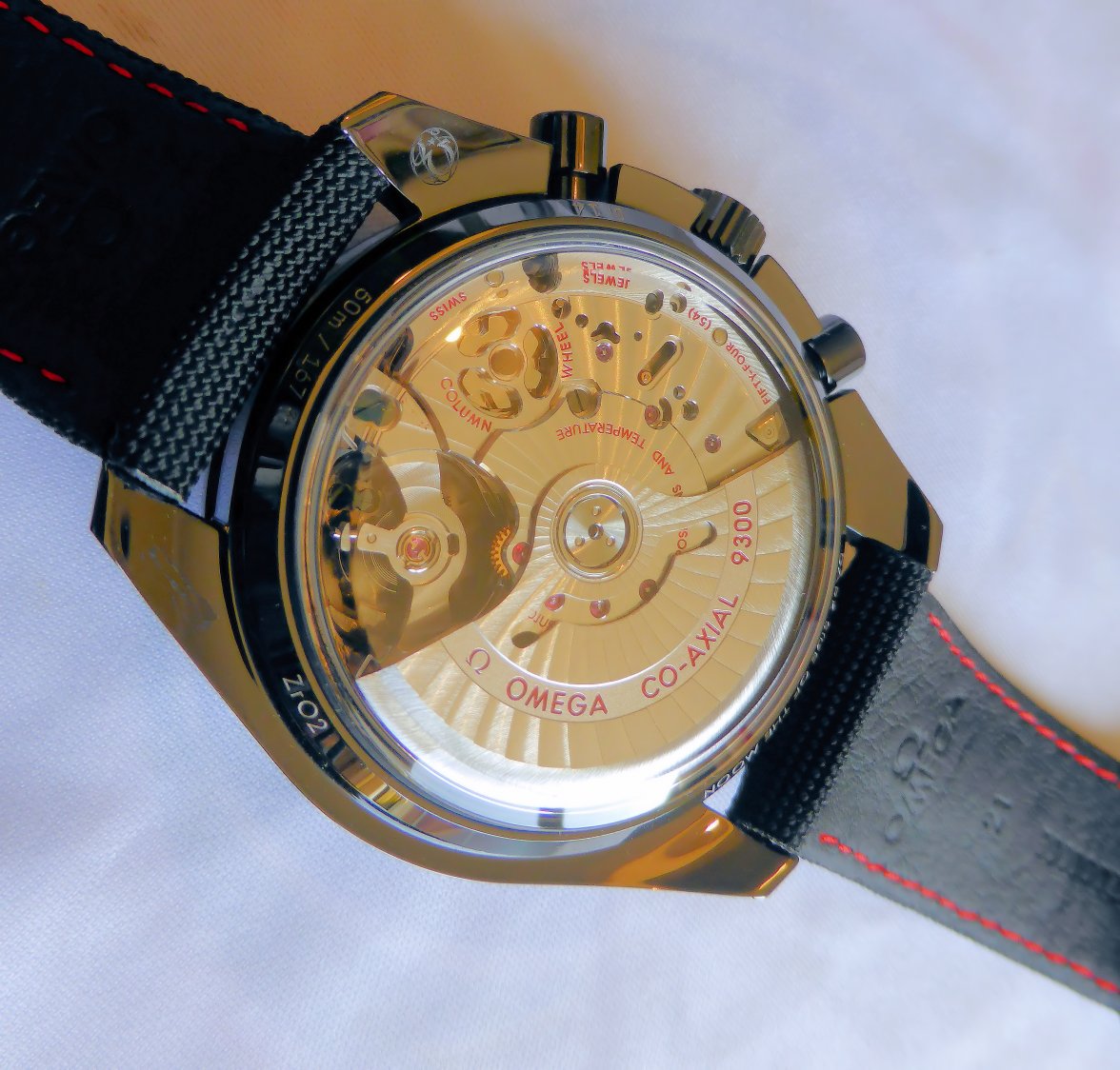 DSOTM caseback - Copy.jpg