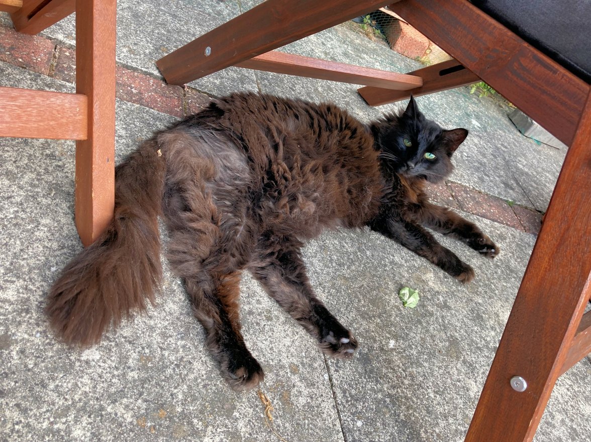 IMG_3678c - Copy.jpg