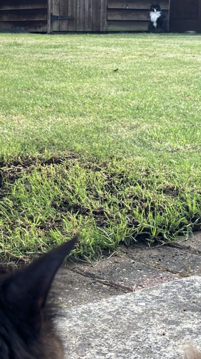 Keep your distance  - Copy.jpg