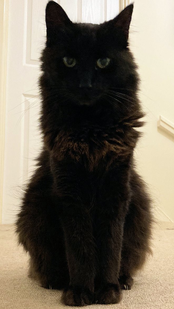 What time is this - Copy.jpg