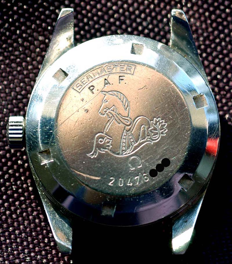 PAF_rail_back copy.jpg