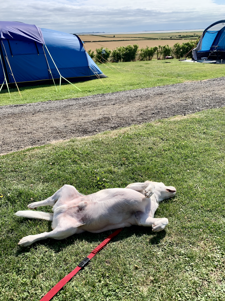 Screenshot 2021-07-24 at 12.58.18.png