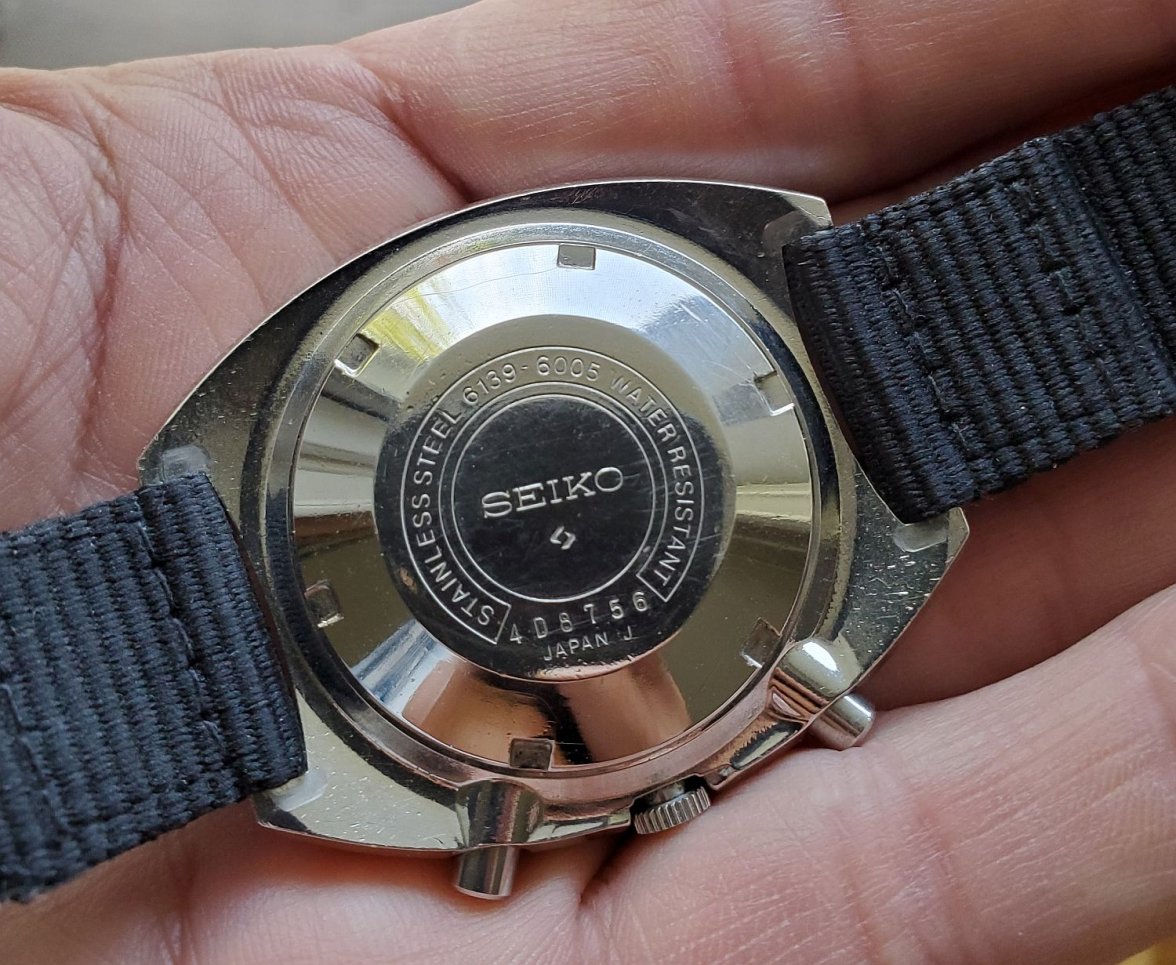 Pogue back 1 20210731_074153.jpg