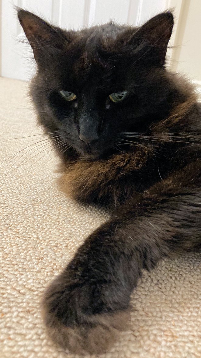 Post brush - Copy.jpg