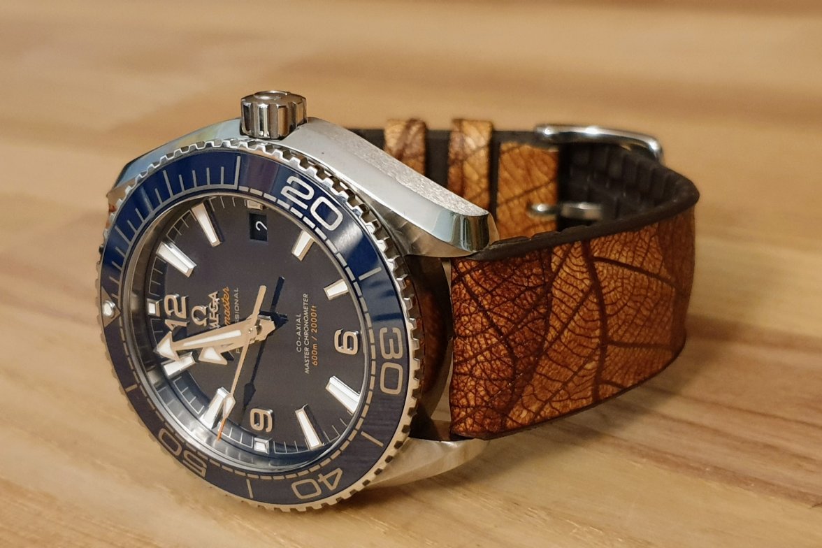 20210802_225603 (1).jpg