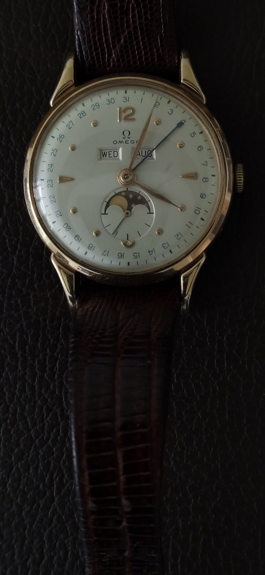 IMG_20210804_160431.jpg IMG_20210804_160431.jpg