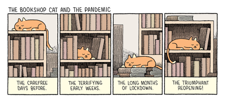 Screen Shot 2021-07-28 at 12.56.35 AM.png