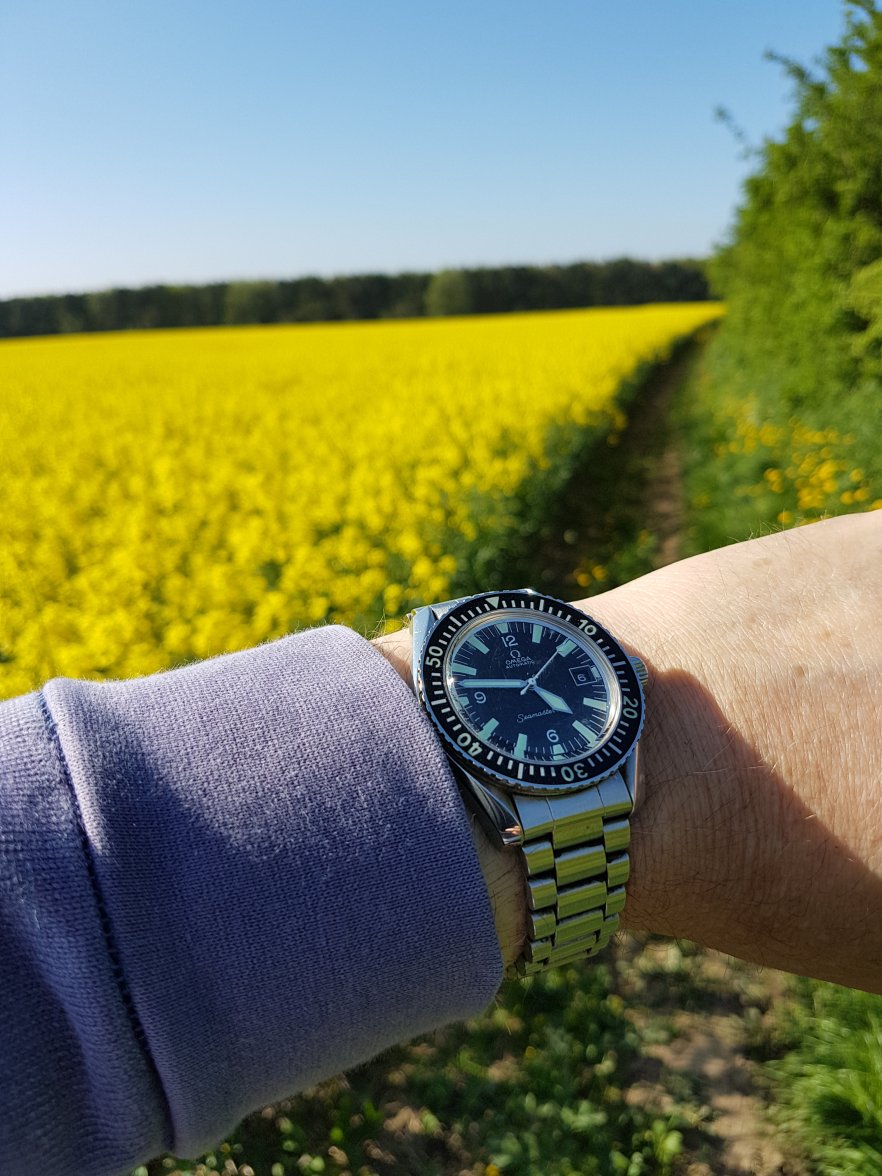 20180506_164705.jpg