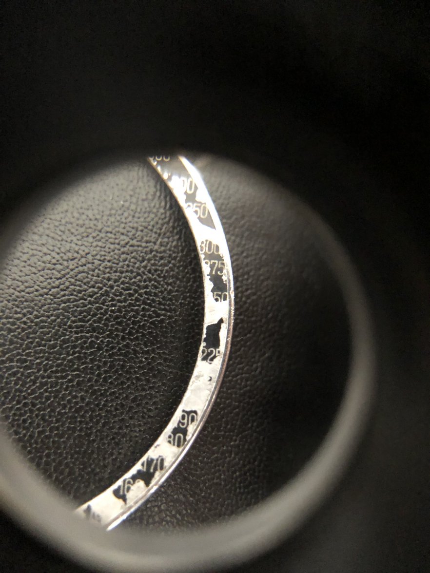 IMG_7012.jpeg IMG_7012.jpeg