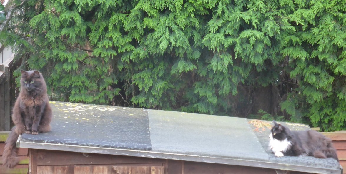 The Edge  - Copy.jpg