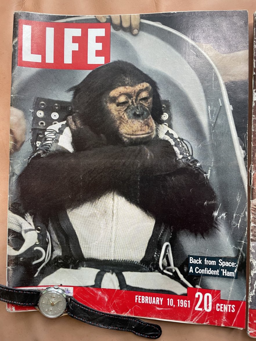 A22669AD-06DA-4DD3-988D-0C018252F2DE.jpeg