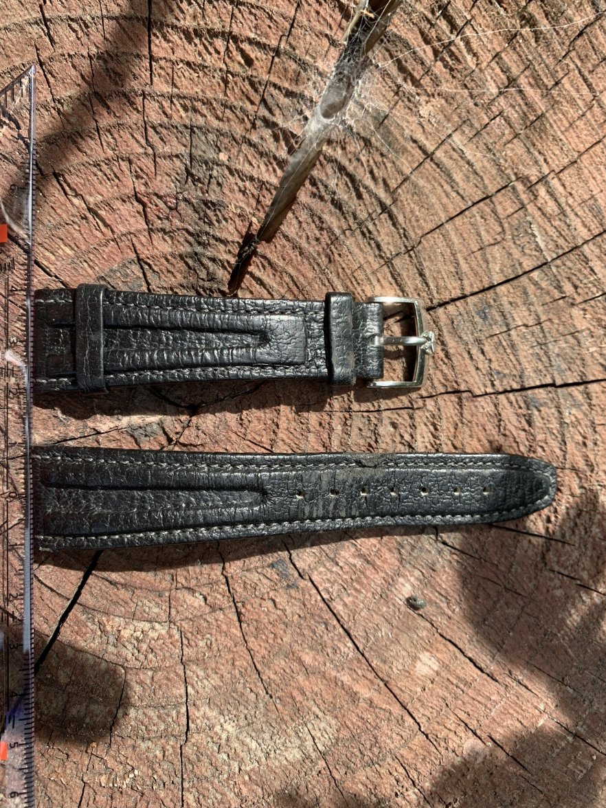 8E5549F6-F3A3-4B66-8F30-FAC5E054FAC7.jpeg 8E5549F6-F3A3-4B66-8F30-FAC5E054FAC7.jpeg