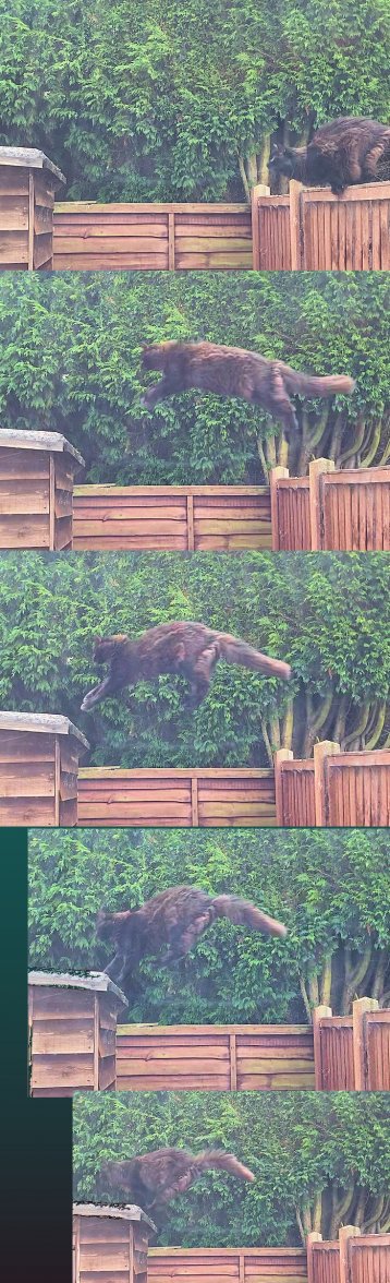 Shed Jump - Copy.jpg