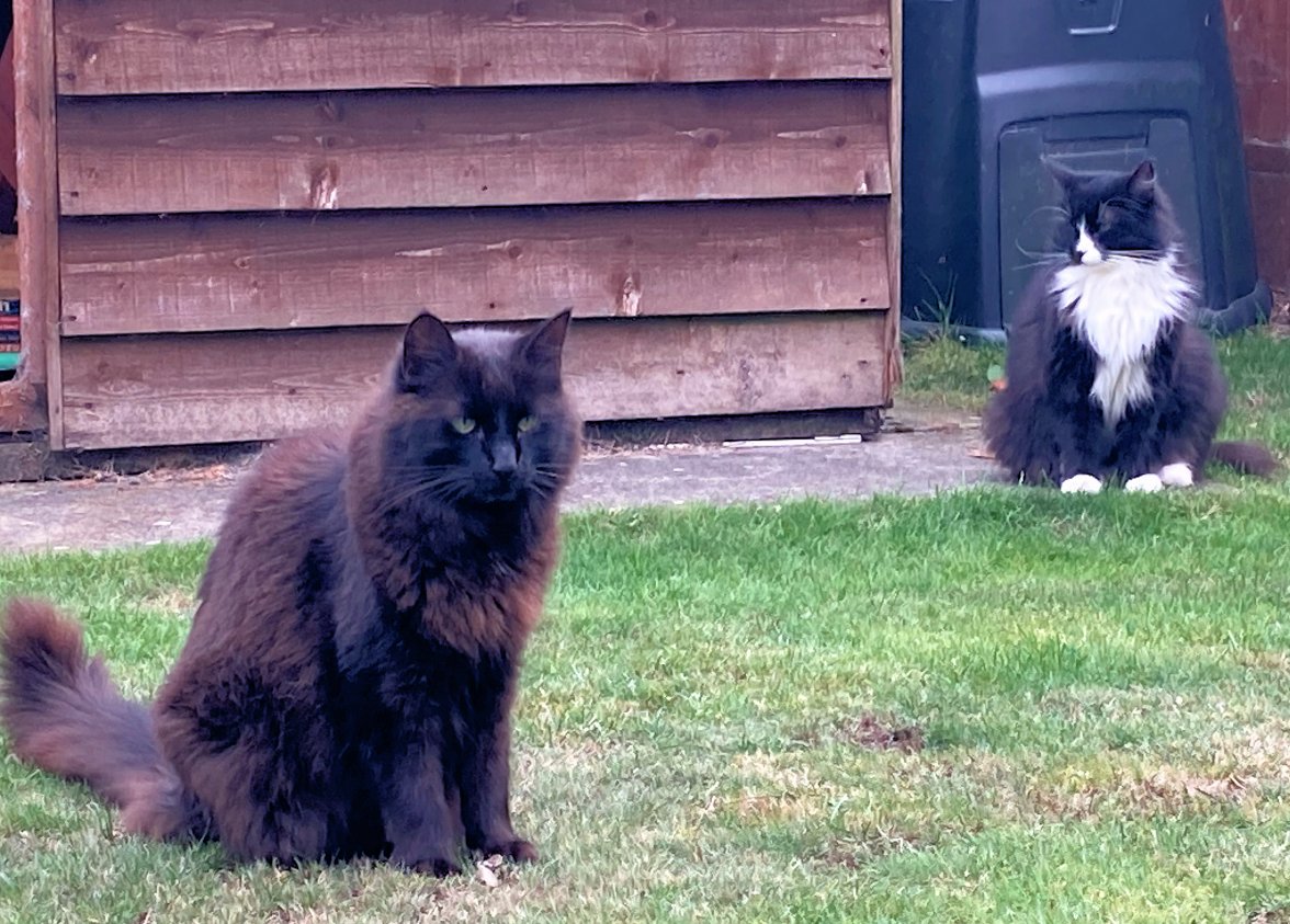 Love match - Copy.jpg