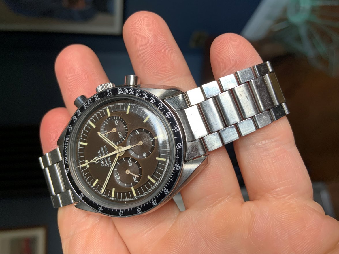 speedy00122.jpg speedy00122.jpg