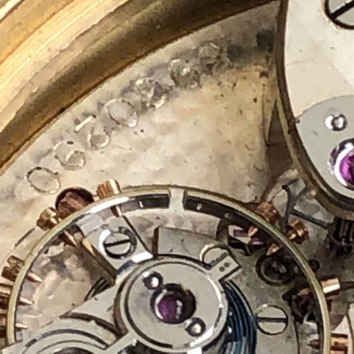 8B04F3DD-0E1A-4EBC-A401-D358E46903C1.jpeg