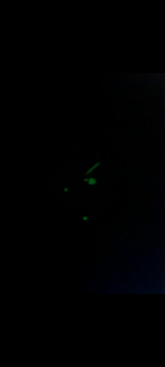 Screenshot_20210818-111237_Gallery.jpg