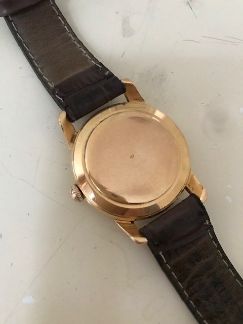 Omega backcase 2.jpg