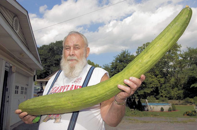 Cumcumber record  - Copy.jpg